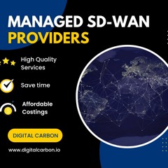 How To Choose Trusted SD-WAN Vendor | Digital Carbon