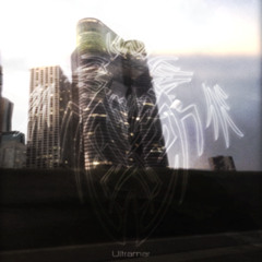 Forever United - Fairy Dust