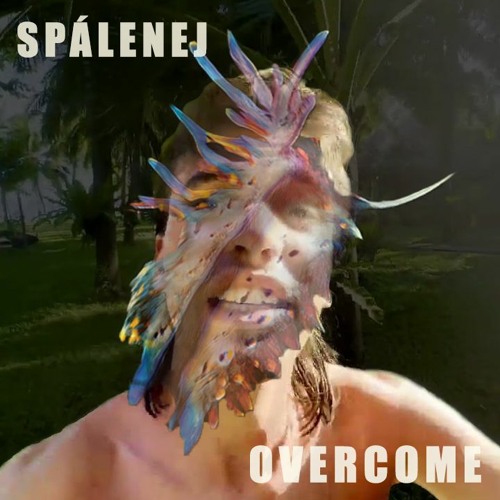Sub Focus X Skardu - Overcome X Spálenej (Tomas Drewin Mashup)