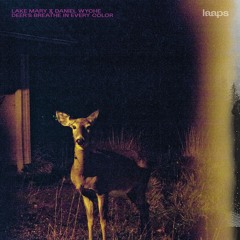 Lake Mary & Daniel Wyche - Deer's Breathe In Every Colors (excerpt)