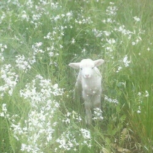 remembr (prod.yungspoiler)