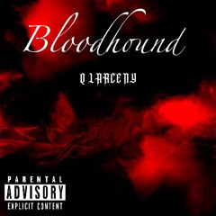 bloodhound