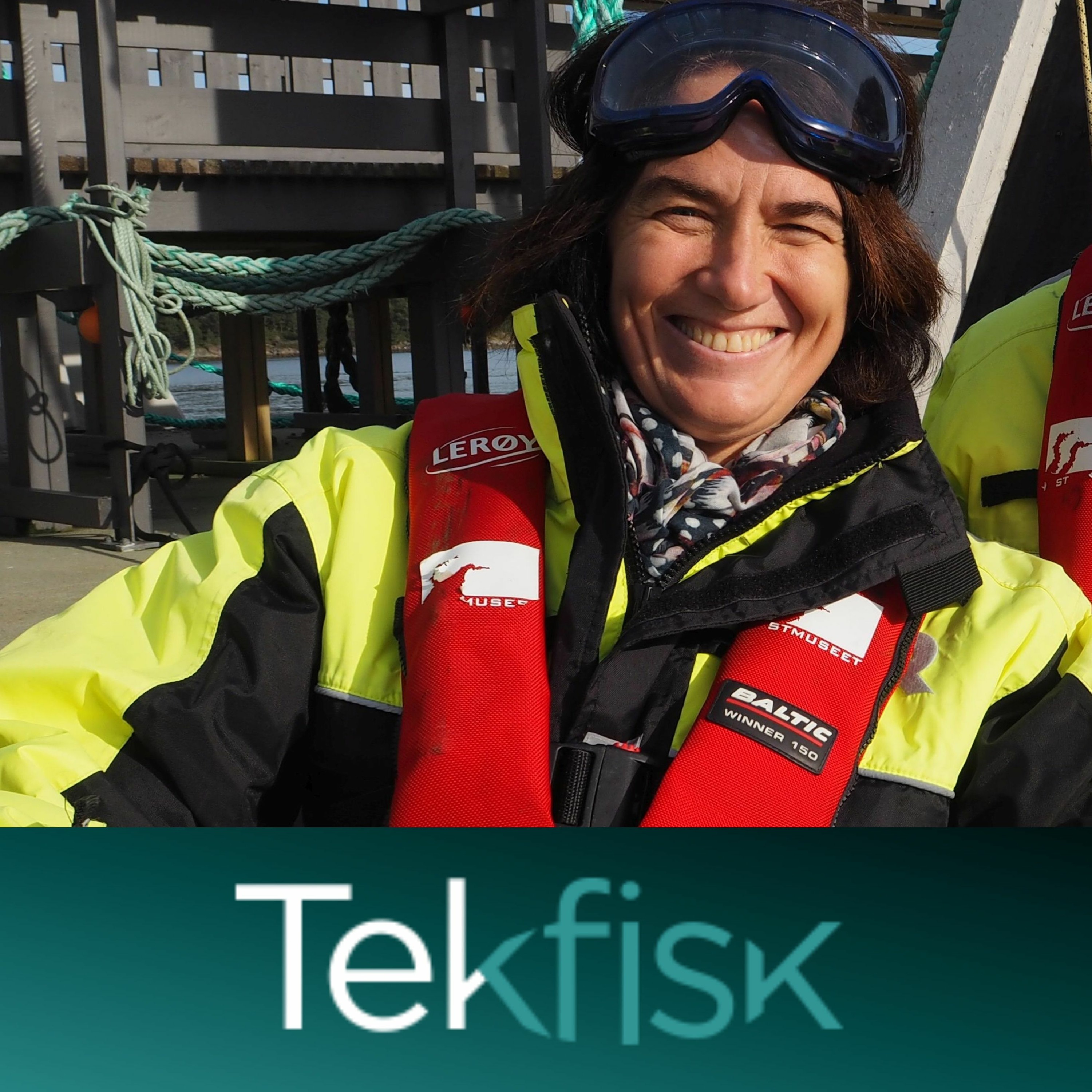 Tekfisk