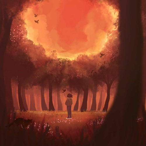 Red Sky At Night