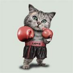 walking on L.A (xanwyd)