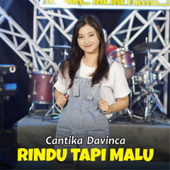 Rindu Tapi Malu
