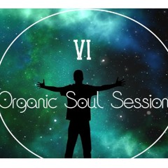 IVN P - ORGANIC SOUL SESSION VI