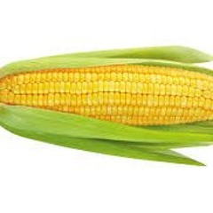 The Cob Farmer