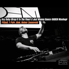 Hey Baby (Drop It To The Floor) X Just Wanna Dance (HADEN Mashup) - Pitbull, T-Pain, Alok FREE DL