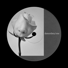 PREMIERE: DanceData1 - Forgotten Dreams