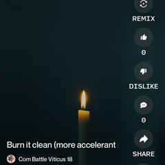 burn-it-clean-(more-accelerant-mix).mp3