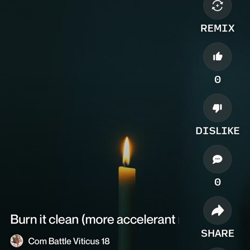 burn-it-clean-(more-accelerant-mix).mp3