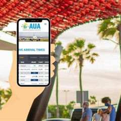 Review Special Price Aruba Private Airport Transfer Personalized Arrival