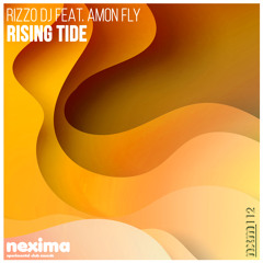 Rizzo DJ, Amon Fly - Rising Tide