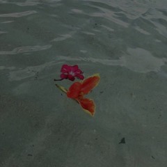 skaiwater - miles (prod skaiwater & jdolla) (speed up)