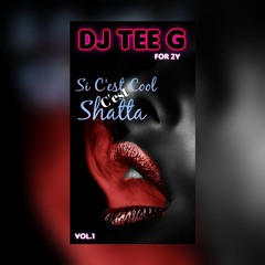 Dj Tee - G Mix Si C'est Cool C'est Shatta Vol1