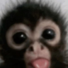 Jet Lag (feat. Donavns)(IG @maskxyz_)