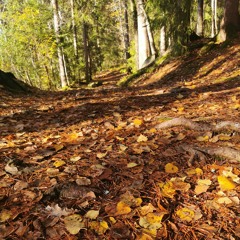 yoga nidra for tillatende nærvær og dyp hvile ❤️.m4a