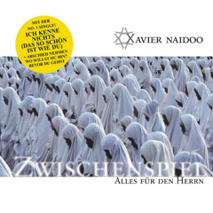 Ich kenne nichts (das so schön ist wie du) [feat. RZA]