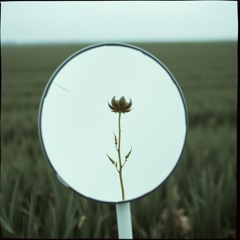 only_human_65ea3989-3b7c-41fd-8a8d-368da84800e8.mp3