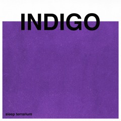 Sleep Terrarium - Indigo (SINGING BOWLS DELTA)