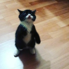 çiRkin