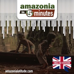Amazon in 5 Minutes: deforestation decline, stories safeguarding the Forest, and dolphin deaths