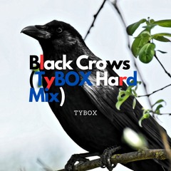 Black Crows (TyBOX Hard Mix)