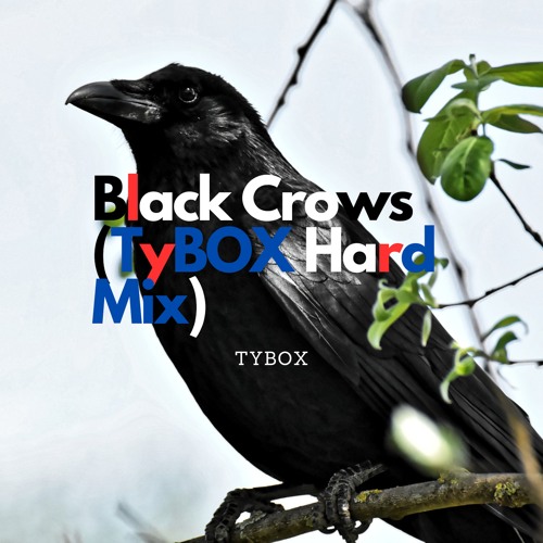 Black Crows (TyBOX Hard Mix)