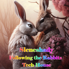121. Following the Rabbits - Tech House