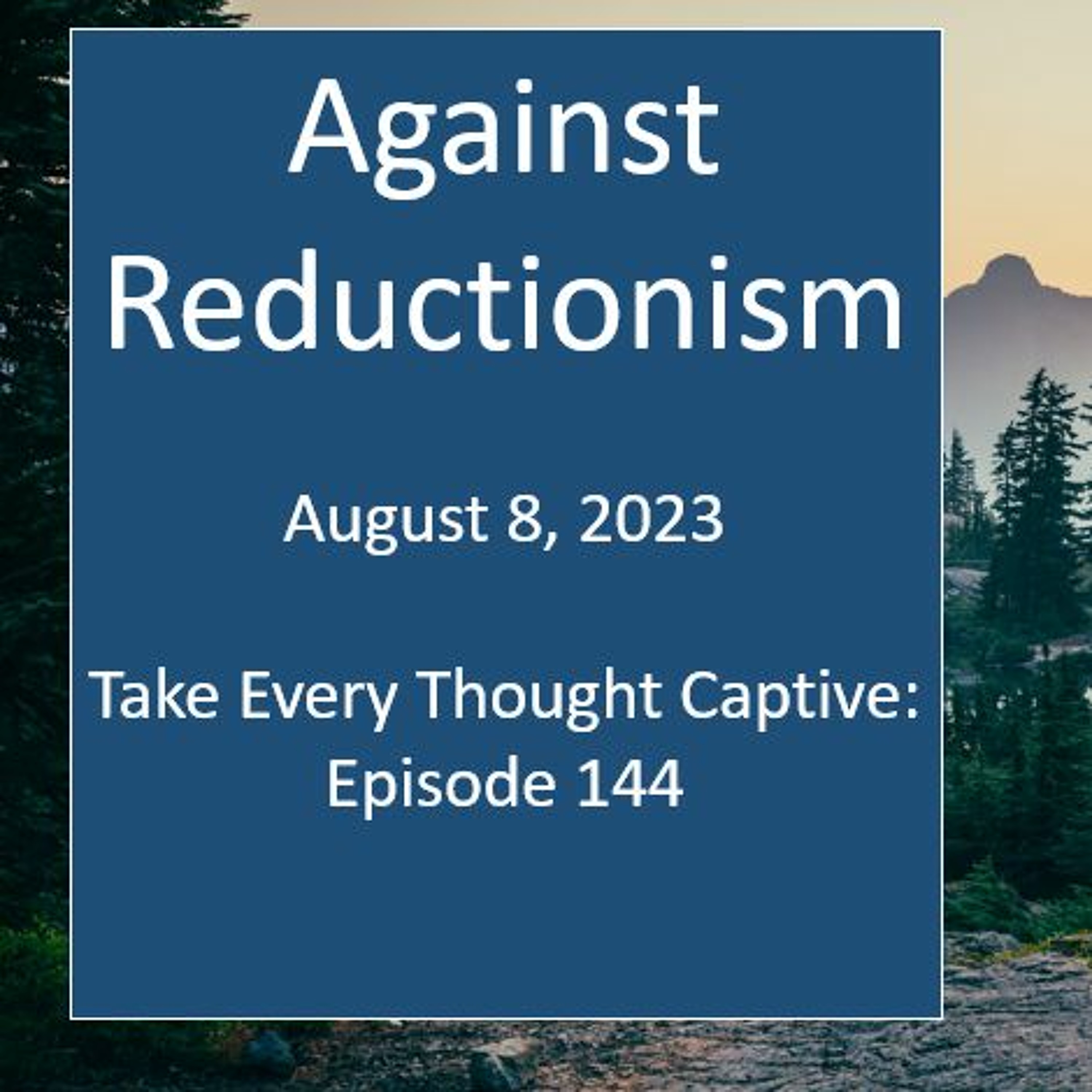 Against Reductionism