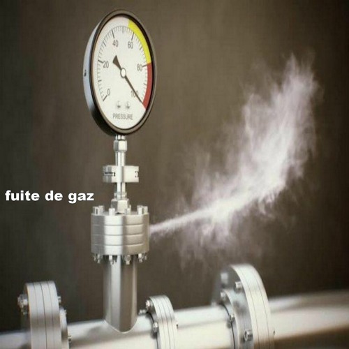 Fuite Degaz (free Dl)