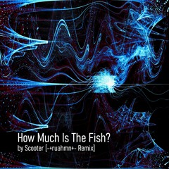 How Much Is The Fish? by Scooter [REMIX]