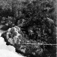 Hor. X Adam Tukiri - YGMFU