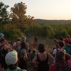 DISPERSION_2025 [Fred B3 BROUETTE]