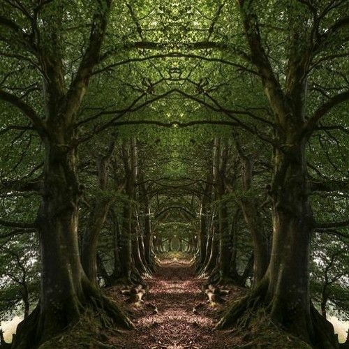 LUCIDITY AFTER HOURS