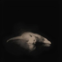 WARRIOR (mixed by lethalblunts)