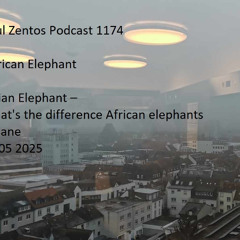 Paul Zentos Podcast 1174 @ African Elephant or Asian Elephant – What's the difference African elephants Kasane 04 05 2025