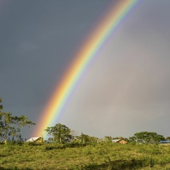 There's Always The Sun