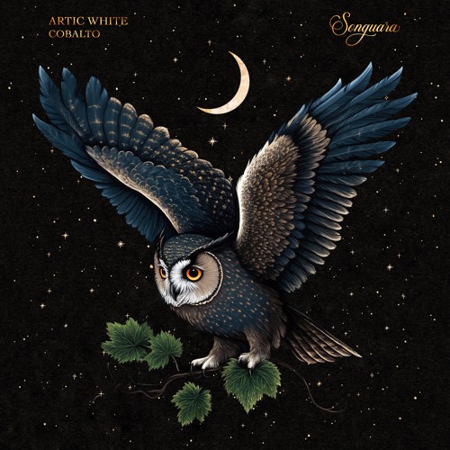 Artic White - Cobalto (Extended Mix) [Songuara]