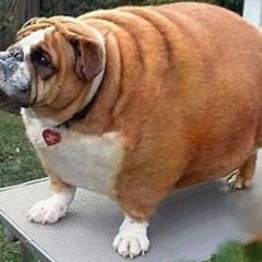 Illenium - Fractures (SEXY BRVHED)