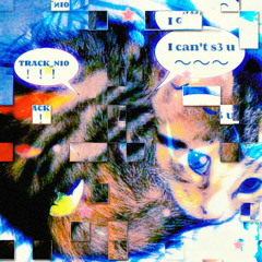 I can´t s3 u