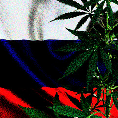 ГОЙДА!