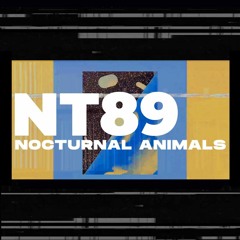 Nocturnal Animals - featuring NT89 aka Nima Tahmasebi - Lyase Recordings ( L'Aquila, Italy)