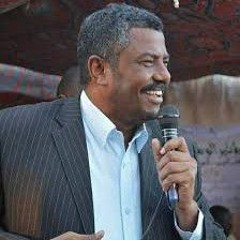 صمت لينطق المدفع فك الله اسر الاسد انس عمر