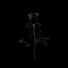 Barrington Levy - Black Roses (SIERRA22 BEAT FLIP)