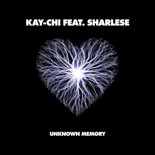 PREMIERE: Kay-Chi Feat. Sharlese - Unknown Memory (Frank Brady Remix) [Volition]