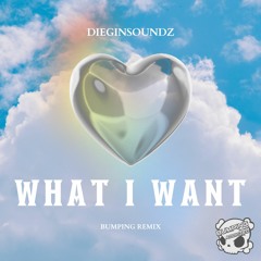 DIEGINSOUNDZ - WHAT I WANT (PROMO)