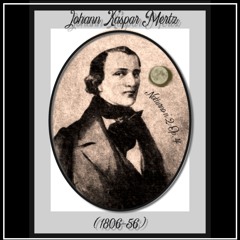 Andantino dal Notturno N° 2 Op. 4 J. K. Mertz - I. M. Regazzo (2024) HD