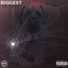 YQL Creeper - Biggest of Dogs